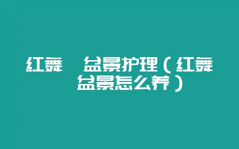 红舞姬盆景护理（红舞姬盆景怎么养）-会东网