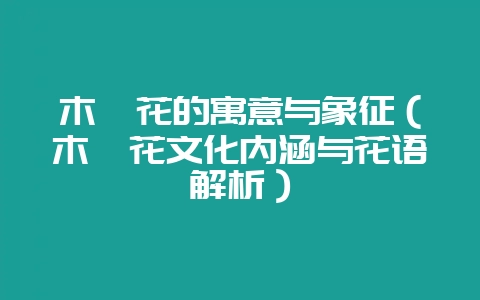 木槿花的寓意与象征（木槿花文化内涵与花语解析）-会东网