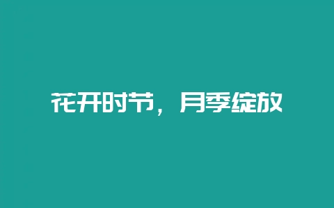 花开时节，月季绽放-会东网
