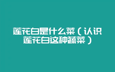 莲花白是什么菜（认识莲花白这种蔬菜）-会东网