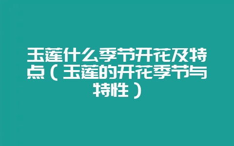 玉莲什么季节开花及特点（玉莲的开花季节与特性）-会东网