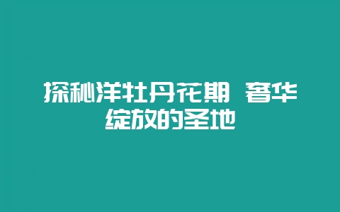 探秘洋牡丹花期 奢华绽放的圣地-会东网