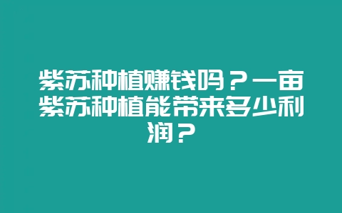 紫苏种植赚钱吗？一亩紫苏种植能带来多少利润？-会东网