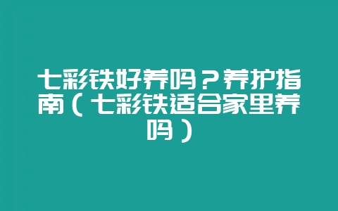 七彩铁好养吗？养护指南（七彩铁适合家里养吗）-会东网