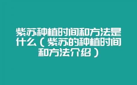 紫苏种植时间和方法是什么（紫苏的种植时间和方法介绍）-会东网