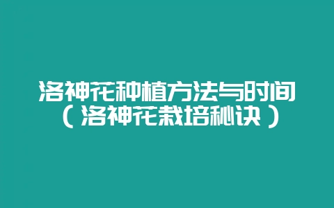 洛神花种植方法与时间（洛神花栽培秘诀）-会东网