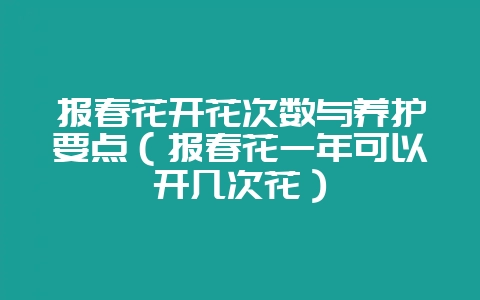 报春花开花次数与养护要点（报春花一年可以开几次花）-会东网