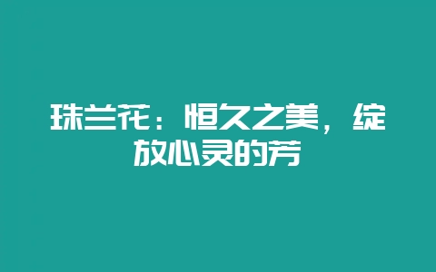 珠兰花：恒久之美，绽放心灵的芳馨-会东网