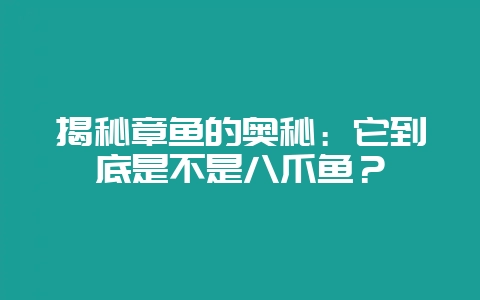 揭秘章鱼的奥秘：它到底是不是八爪鱼？-会东网