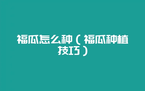 福瓜怎么种（福瓜种植技巧）-会东网