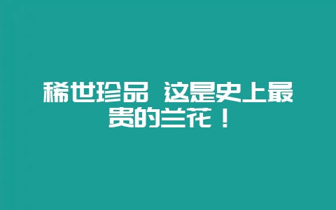 稀世珍品 这是史上最贵的兰花！-会东网