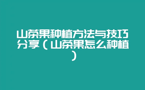山茶果种植方法与技巧分享（山茶果怎么种植）-会东网