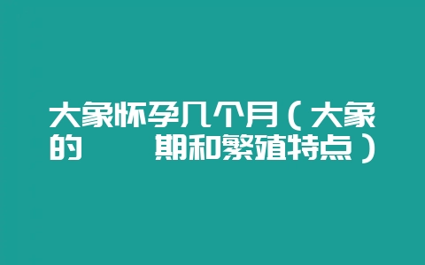 大象怀孕几个月（大象的妊娠期和繁殖特点）-会东网