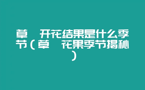 草莓开花结果是什么季节（草莓花果季节揭秘）-会东网