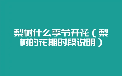 梨树什么季节开花(梨树的花期时段说明)插图 梨树什么季节开花(梨树的花期时段说明)插图