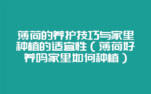 薄荷的养护技巧与家里种植的适宜性（薄荷好养吗家里如何种植）-会东网