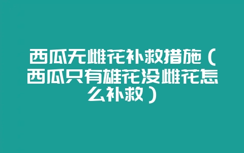 西瓜无雌花补救措施（西瓜只有雄花没雌花怎么补救）-会东网
