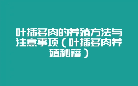 叶插多肉的养殖方法与注意事项（叶插多肉养殖秘籍）-会东网