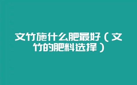 文竹施什么肥最好（文竹的肥料选择）-会东网