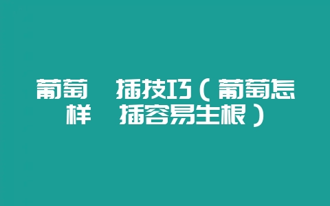 葡萄扦插技巧（葡萄怎样扦插容易生根）-会东网