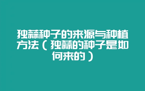 独蒜种子的来源与种植方法（独蒜的种子是如何来的）-会东网