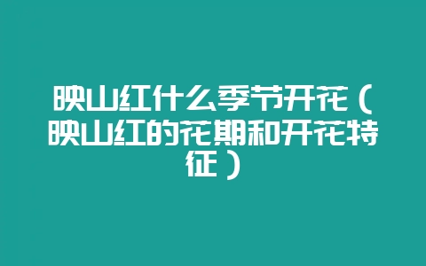 映山红什么季节开花（映山红的花期和开花特征）-会东网
