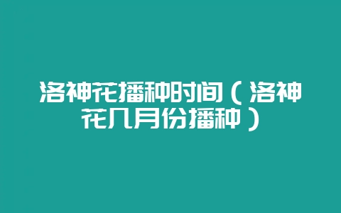 洛神花播种时间（洛神花几月份播种）-会东网