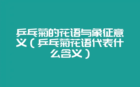 乒乓菊的花语与象征意义(乒乓菊花语代表什么含义)插图 乒乓菊的花语与象征意义(乒乓菊花语代表什么含义)插图