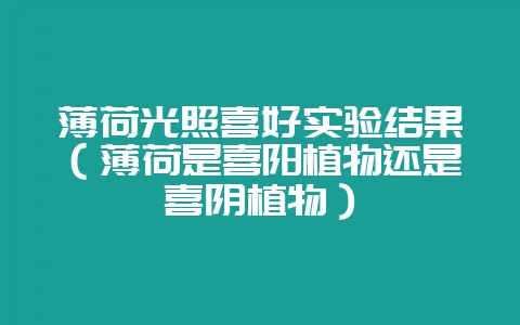 薄荷光照喜好实验结果（薄荷是喜阳植物还是喜阴植物）-会东网