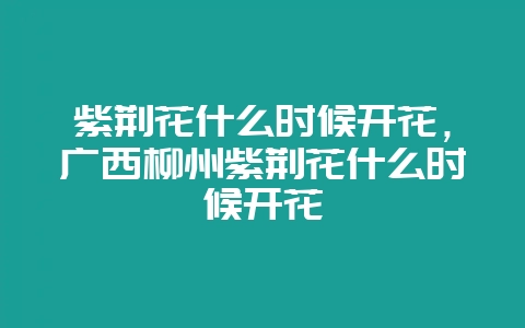 紫荆花什么时候开花，广西柳州紫荆花什么时候开花-会东网