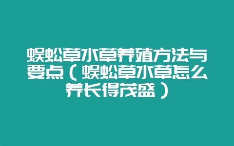 蜈蚣草水草养殖方法与要点（蜈蚣草水草怎么养长得茂盛）-会东网