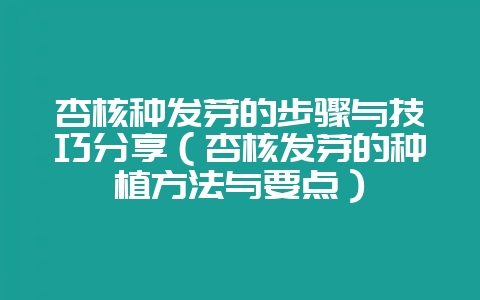 杏核种发芽的步骤与技巧分享（杏核发芽的种植方法与要点）-会东网