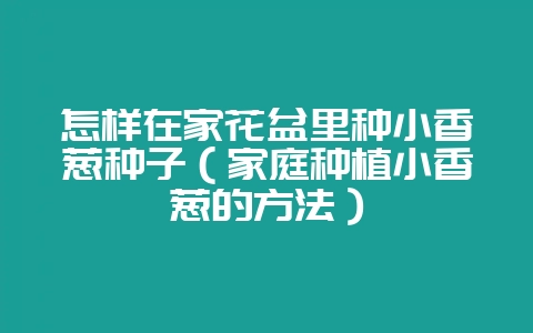 怎样在家花盆里种小香葱种子（家庭种植小香葱的方法）-会东网