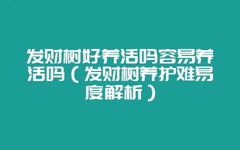 发财树好养活吗容易养活吗（发财树养护难易度解析）-会东网