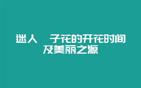 迷人栀子花的开花时间及美丽之源-会东网