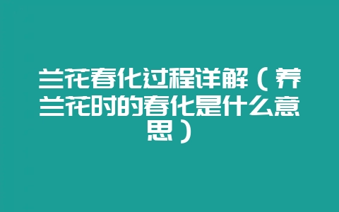 兰花春化过程详解（养兰花时的春化是什么意思）-会东网