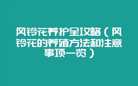 风铃花养护全攻略（风铃花的养殖方法和注意事项一览）-会东网