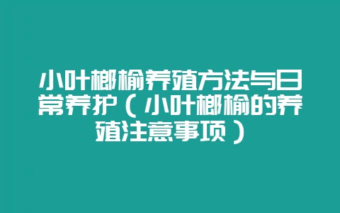 小叶榔榆养殖方法与日常养护(小叶榔榆的养殖注意事项)-会东网