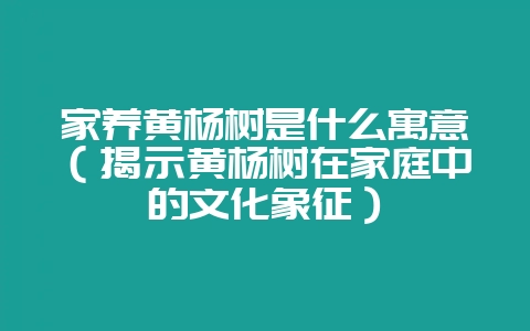 家养黄杨树是什么寓意（揭示黄杨树在家庭中的文化象征）-会东网
