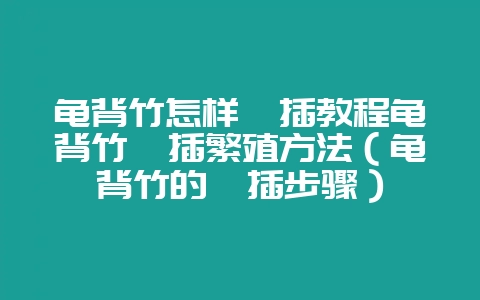 龟背竹怎样扦插教程龟背竹扦插繁殖方法（龟背竹的扦插步骤）-会东网