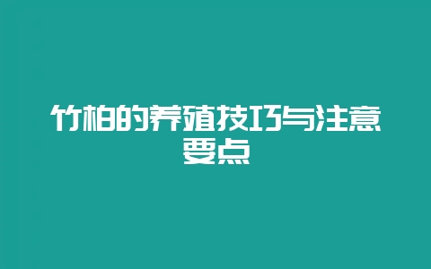 竹柏的养殖技巧与注意要点-会东网