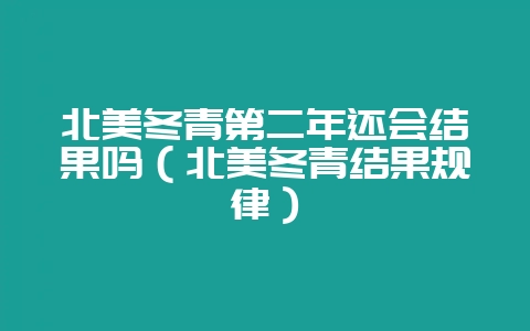 北美冬青第二年还会结果吗（北美冬青结果规律）-会东网