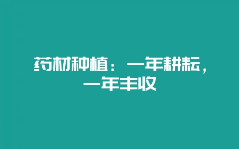 药材种植：一年耕耘，一年丰收-会东网