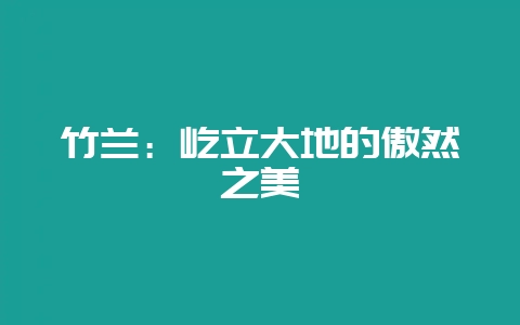 竹兰：屹立大地的傲然之美-会东网