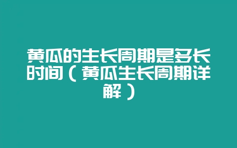 黄瓜的生长周期是多长时间（黄瓜生长周期详解）-会东网