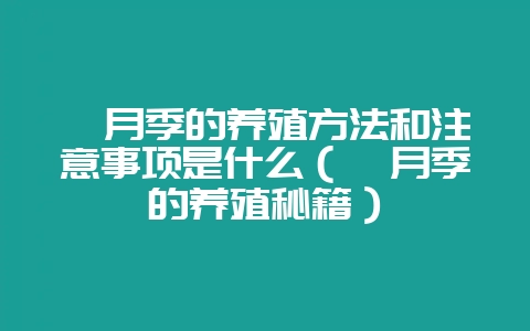 姬月季的养殖方法和注意事项是什么（姬月季的养殖秘籍）-会东网