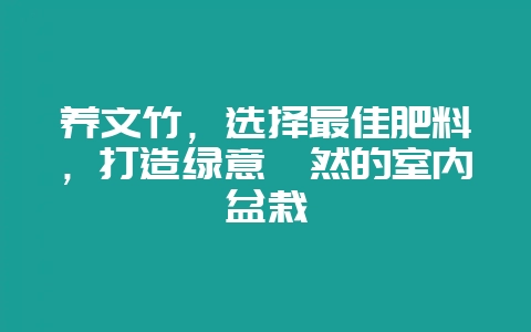 养文竹,选择最佳肥料,打造绿意盎然的室内盆栽插图 养文竹,选择最佳肥料,打造绿意盎然的室内盆栽插图