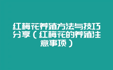红梅花养殖方法与技巧分享（红梅花的养殖注意事项）-会东网