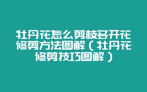 牡丹花怎么剪枝多开花修剪方法图解（牡丹花修剪技巧图解）-会东网