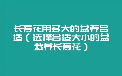 长寿花用多大的盆养合适（选择合适大小的盆栽养长寿花）-会东网